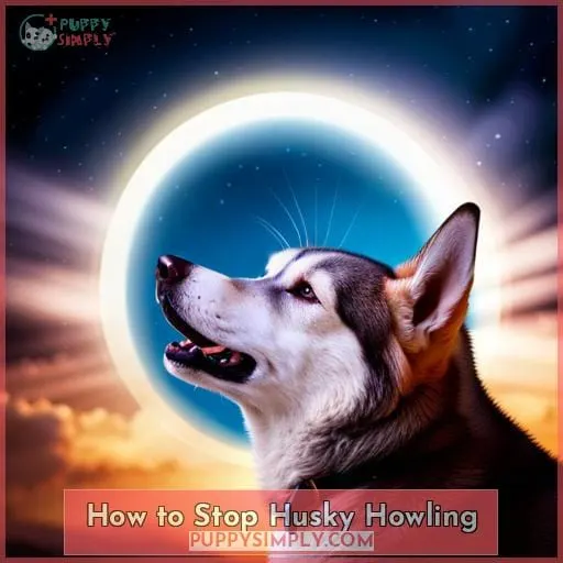 How to Stop Husky Howling