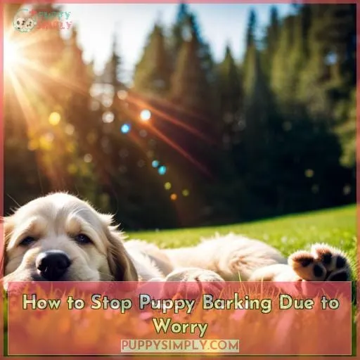 How to Stop Puppy Barking Due to Worry