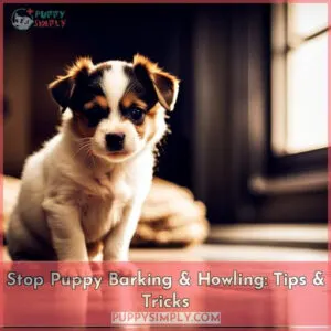 how to stop puppy howling and barking