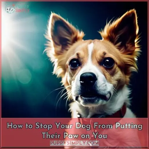 How to Stop Your Dog From Putting Their Paw on You