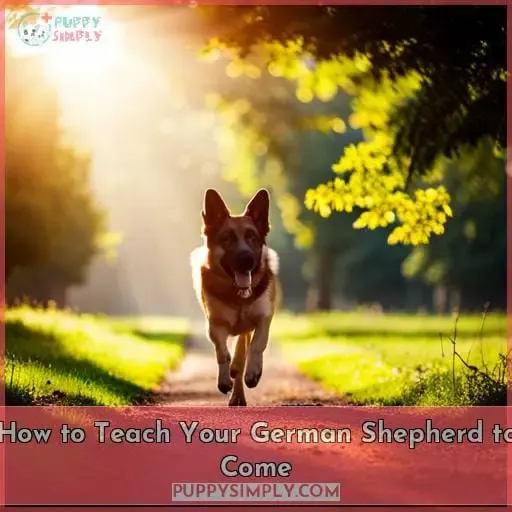 How to Teach Your German Shepherd to Come