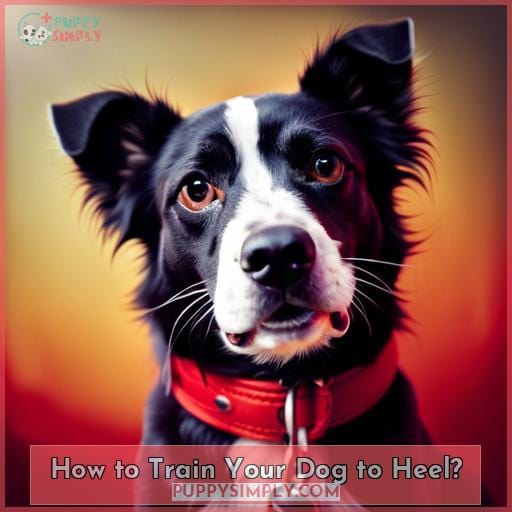 How to Train Your Dog to Heel?