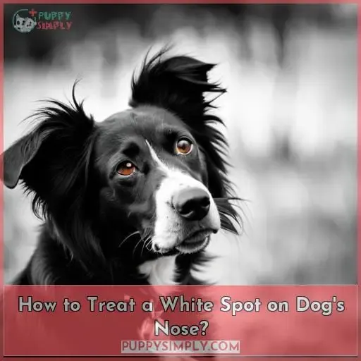 How to Treat a White Spot on Dog