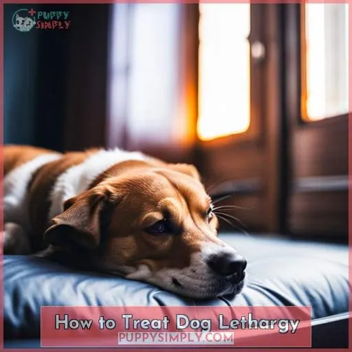 How to Treat Dog Lethargy