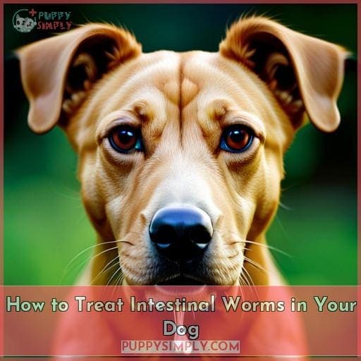 How to Treat Intestinal Worms in Your Dog