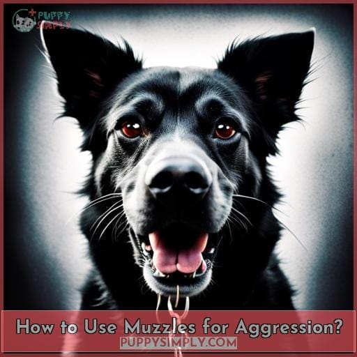 How to Use Muzzles for Aggression?