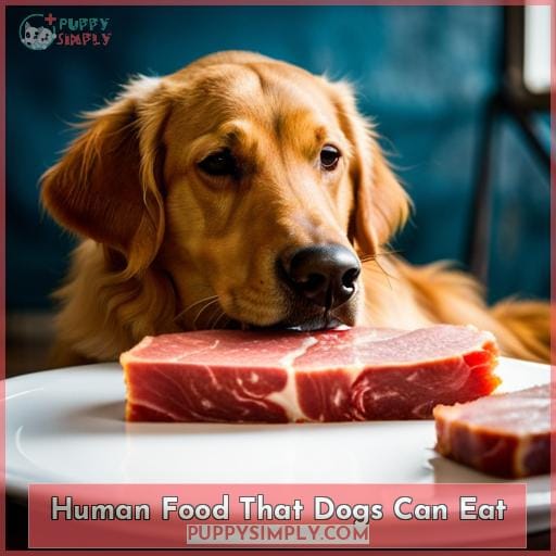 Human Food That Dogs Can Eat