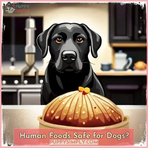 Human Foods Safe for Dogs?