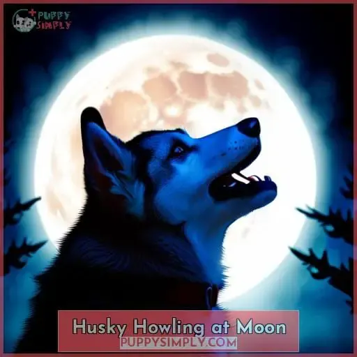 Husky Howling at Moon