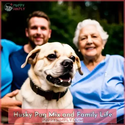 Husky Pug Mix and Family Life