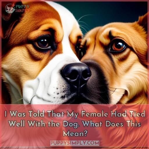 I Was Told That My Female Had Tied Well With the Dog. What Does This Mean? I Was Told That My Female Had Tied Well With the Dog. What Does This Mean?