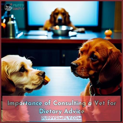 Importance of Consulting a Vet for Dietary Advice