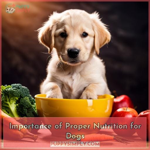 Importance of Proper Nutrition for Dogs