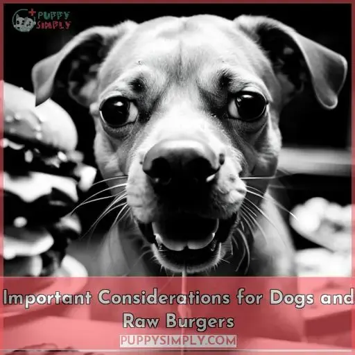 Important Considerations for Dogs and Raw Burgers