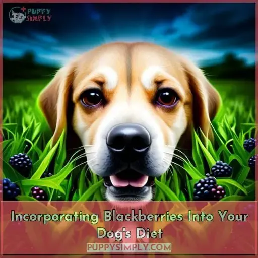 Incorporating Blackberries Into Your Dog