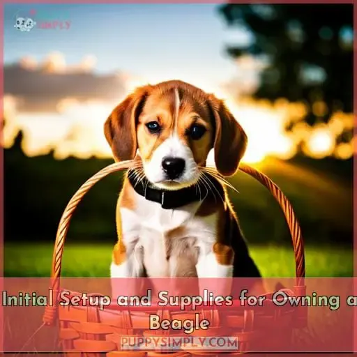 Initial Setup and Supplies for Owning a Beagle