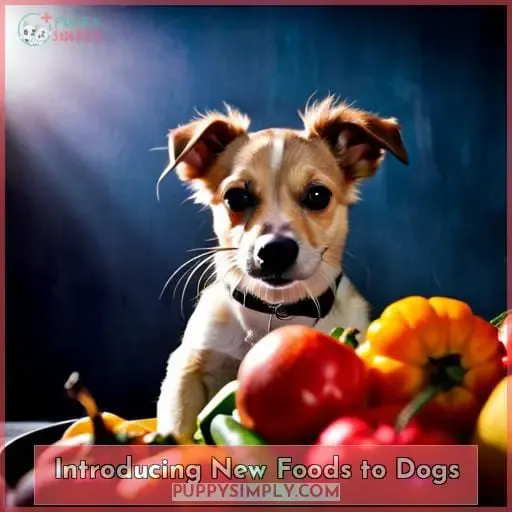 Introducing New Foods to Dogs
