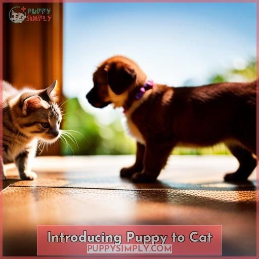 Introducing a Puppy to a Cat Expert Tips & Tricks