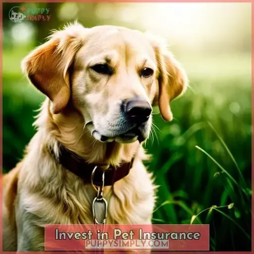 Invest in Pet Insurance