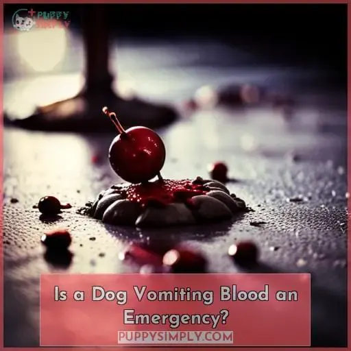 Is a Dog Vomiting Blood an Emergency