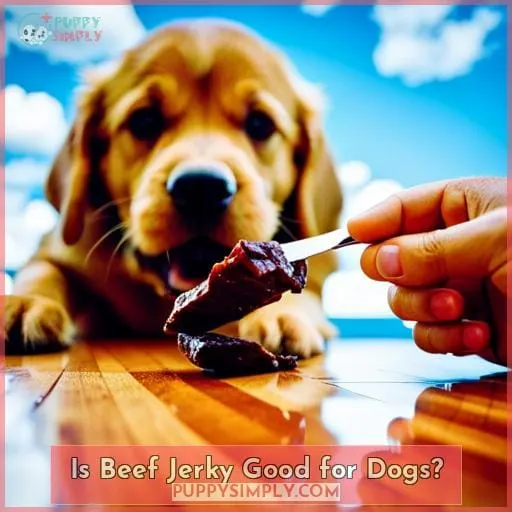 Is Beef Jerky Good for Dogs?