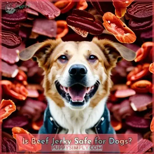 Is Beef Jerky Safe for Dogs?