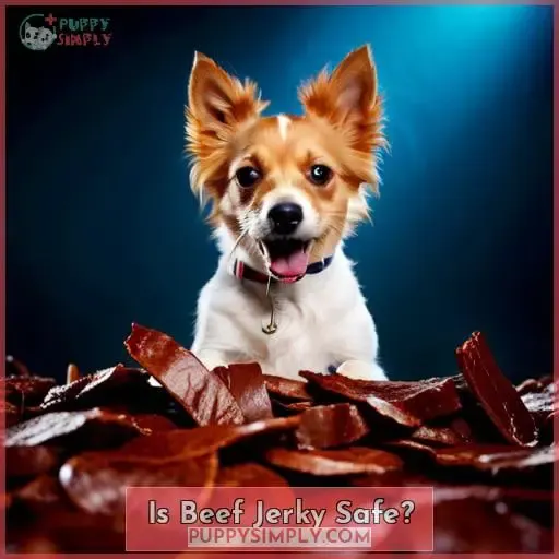 Is Beef Jerky Safe?
