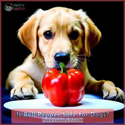 Is Bell Pepper Safe for Dogs