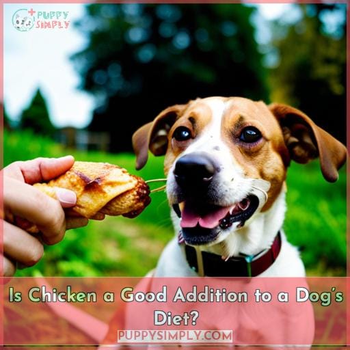 Is Chicken a Good Addition to a Dog’s Diet?