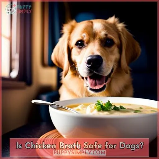 Is Chicken Broth Safe for Dogs?