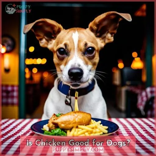 Is Chicken Good for Dogs?