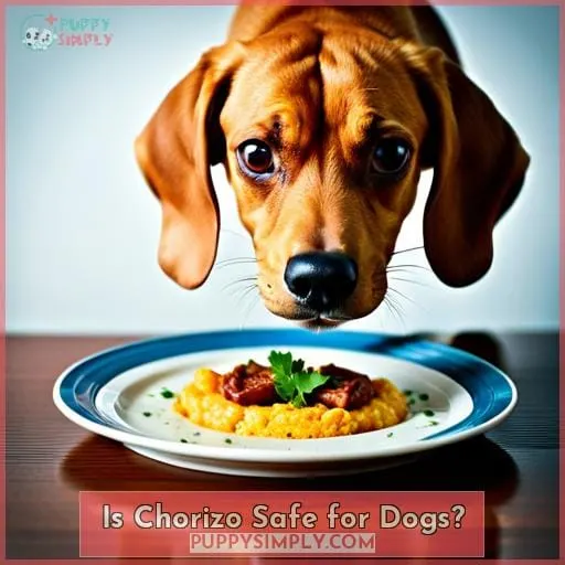 Is Chorizo Safe for Dogs?