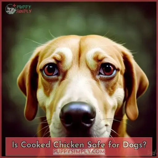 Is Cooked Chicken Safe for Dogs?