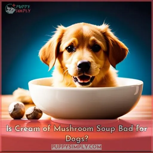 Is Cream of Mushroom Soup Bad for Dogs?