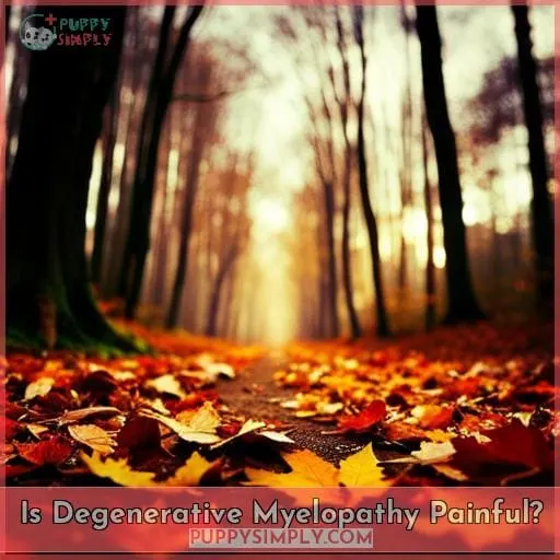 Is Degenerative Myelopathy Painful?
