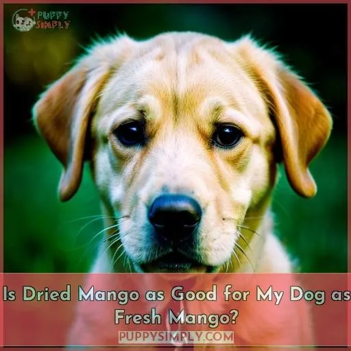 Is Dried Mango as Good for My Dog as Fresh Mango?