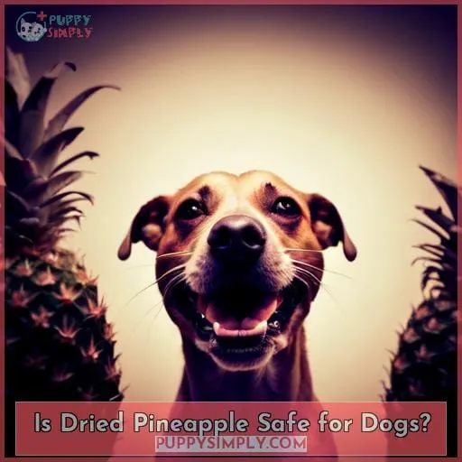 Is Dried Pineapple Safe for Dogs?