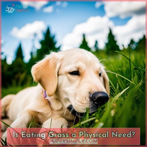 Is Eating Grass a Physical Need
