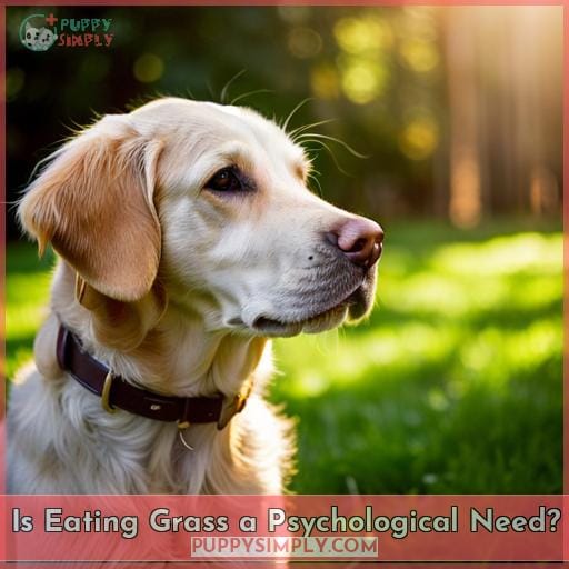 Is Eating Grass a Psychological Need