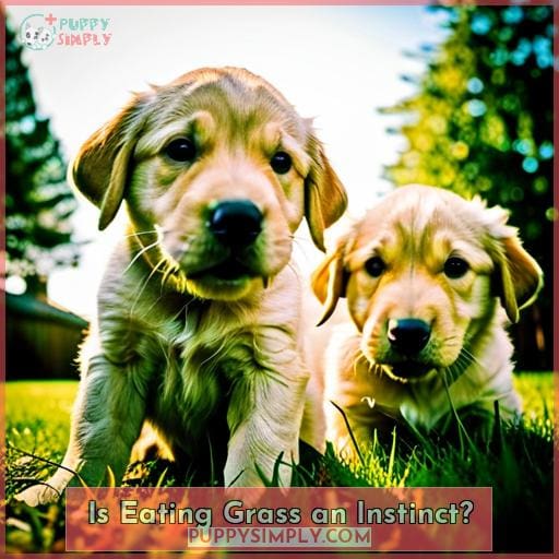 Is Eating Grass an Instinct