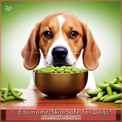 Is Edamame Skin Safe for Dogs?