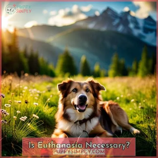 Is Euthanasia Necessary?