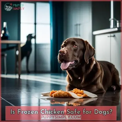 Is Frozen Chicken Safe for Dogs
