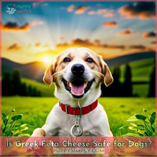 Is Greek Feta Cheese Safe for Dogs?