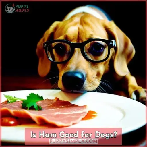 Is Ham Good for Dogs?