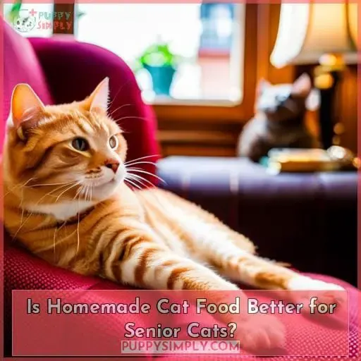 Is Homemade Cat Food Better for Senior Cats?