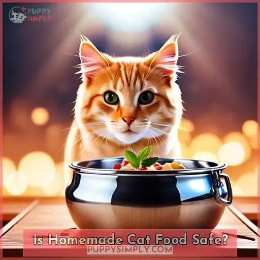 Is Homemade Cat Food Safe?