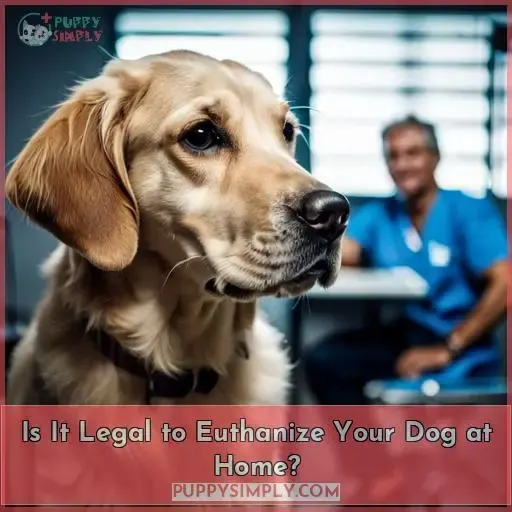 Is It Legal to Euthanize Your Dog at Home