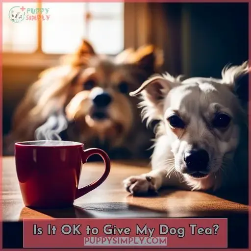 Is It OK to Give My Dog Tea