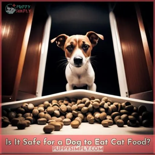 Is It Safe for a Dog to Eat Cat Food?